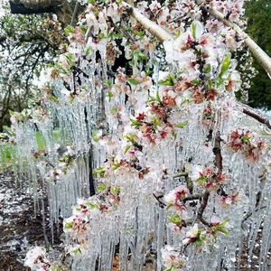 Meet your Posher, Mai